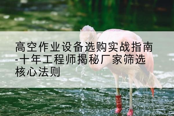 林芝剪叉式升降机厂家-高空作业设备选购实战指南-十年工程师揭秘厂家筛选核心法则