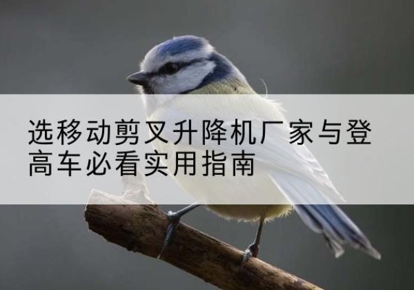林芝电动升降机厂家-选移动剪叉升降机厂家与登高车必看实用指南