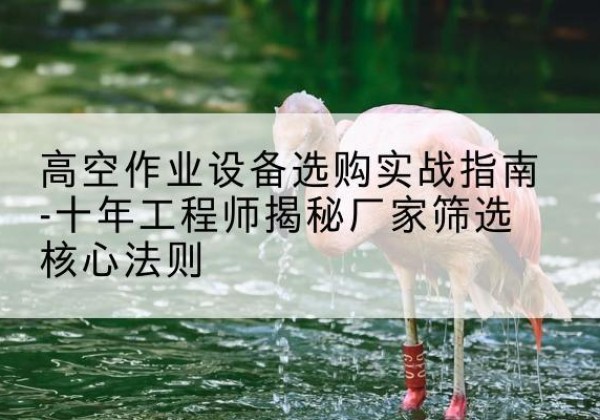 林芝剪叉式升降机厂家-高空作业设备选购实战指南-十年工程师揭秘厂家筛选核心法则